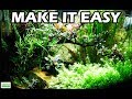 Top 5 ways to make your planted aquarium easier