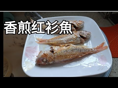 [家常小菜] 煎红衫魚 / 香煎红衫魚 / 煎红三魚 / Fried Golden Threadfin Fish - YouTube