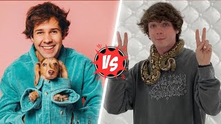 Which One Is Your Favourite YouTuber Karl Jacobs VS David Dobrik Lifestyle Comparison ?