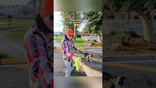 Give the puppy a toy 🧸🎈#dog #dogs #puppy #dogtoys #funny #cute #love #animals