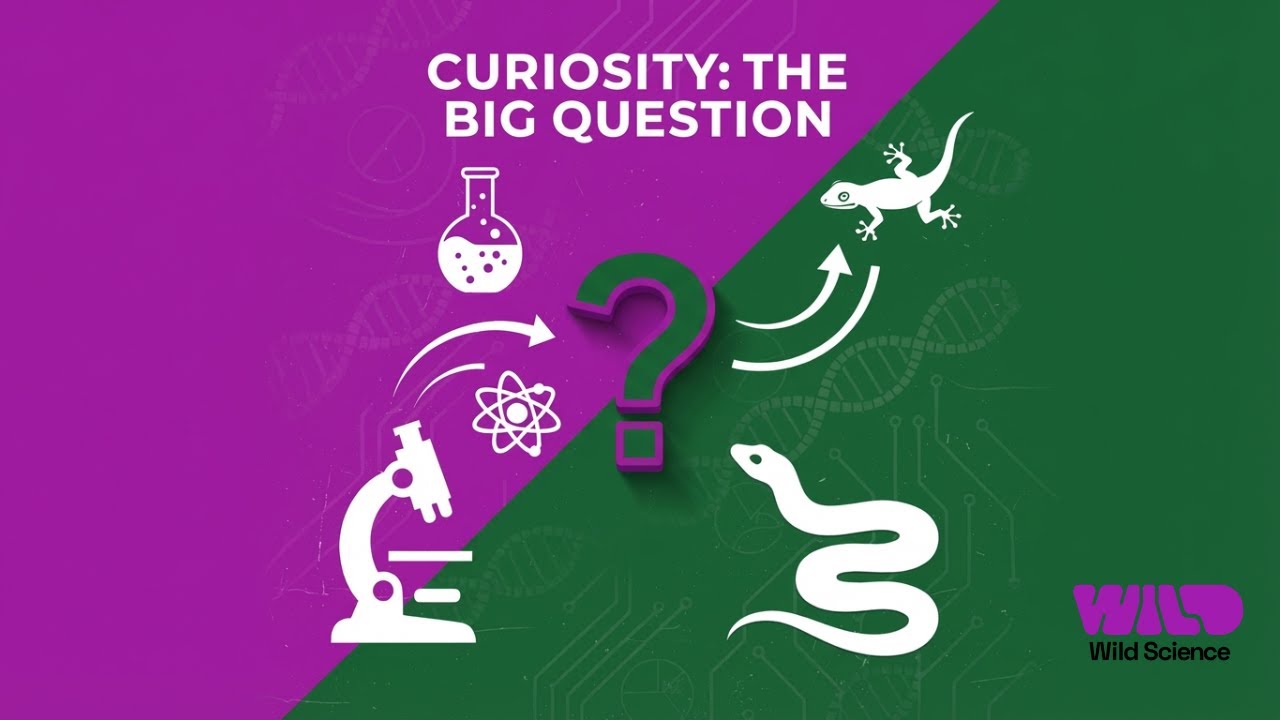 Curiosity... What’s the Question? Celebrating British Science Week 2026
