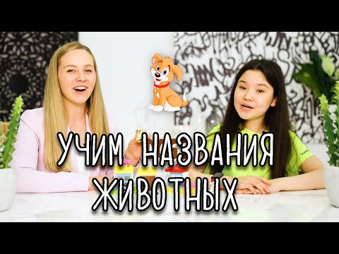 ВЫПУСК 4 / ANIMAL NAMES / УЧИМ НАЗВАНИЯ ЖИВОТНЫХ