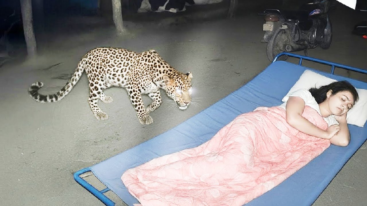 கேமராவில் பதிவான மிரள வைக்கும் நம்ப முடியாத சம்பவங்கள்/ Unbelievable Moments caught on camera