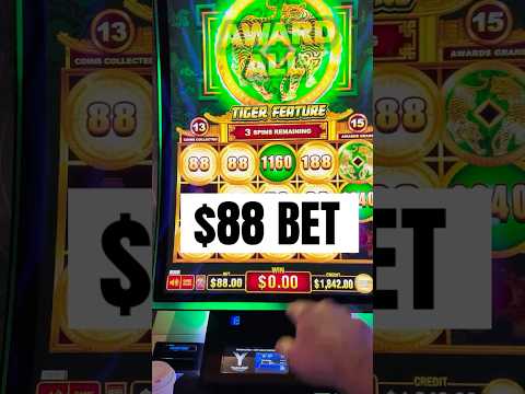 🎰 Mejores Casinos Online en Chile – Bonos Exclusivos y Juegos en Vivo 🇨🇱