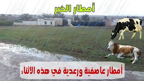 أمطار غزيرة ورعدية تتهاطل في هذه الاثناء في ضواحي أزمور