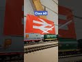 Freight trains passing! #oogauge #ukmodelrailways #modelrailway #hornby #bachmanntrains #railfreight