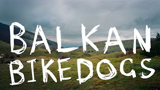 BALKAN BIKEDOGS