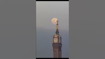 الشيخ ياسر الدوسري سورة الحاقة
