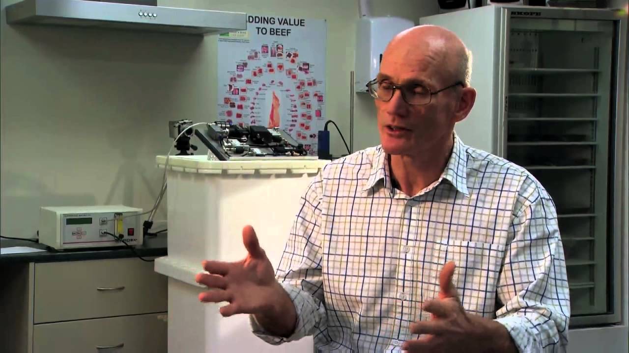 Clyde Daley    Hygiene and safety