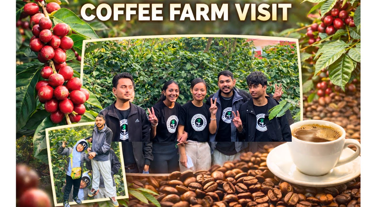 Coffee Farm Visit in Pokhara ☕🌿 | National Tea & Coffee Development Board With Jeans Beans Family🌱