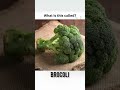 vegetable name in English #shorts #shortsfeed #english