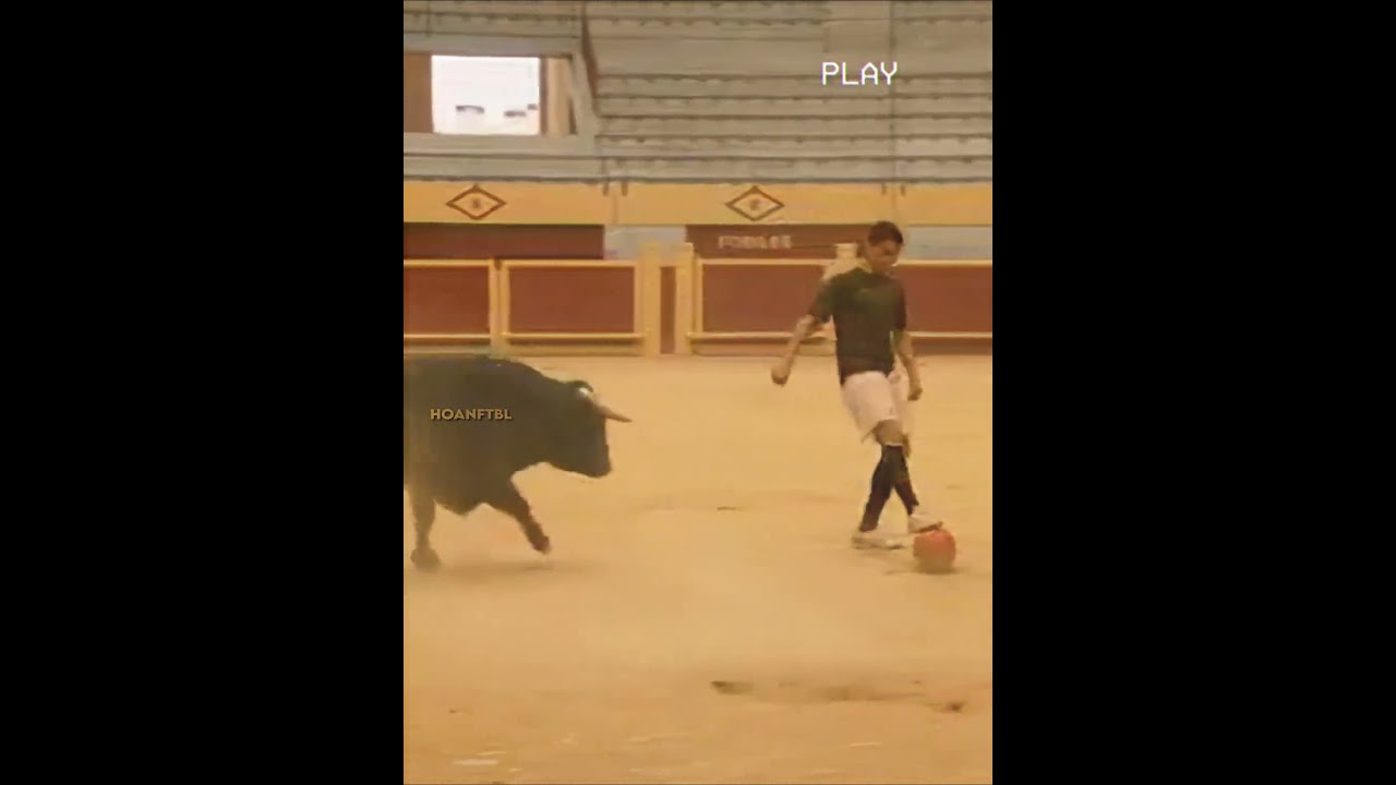 When Ronaldo VS Bull 