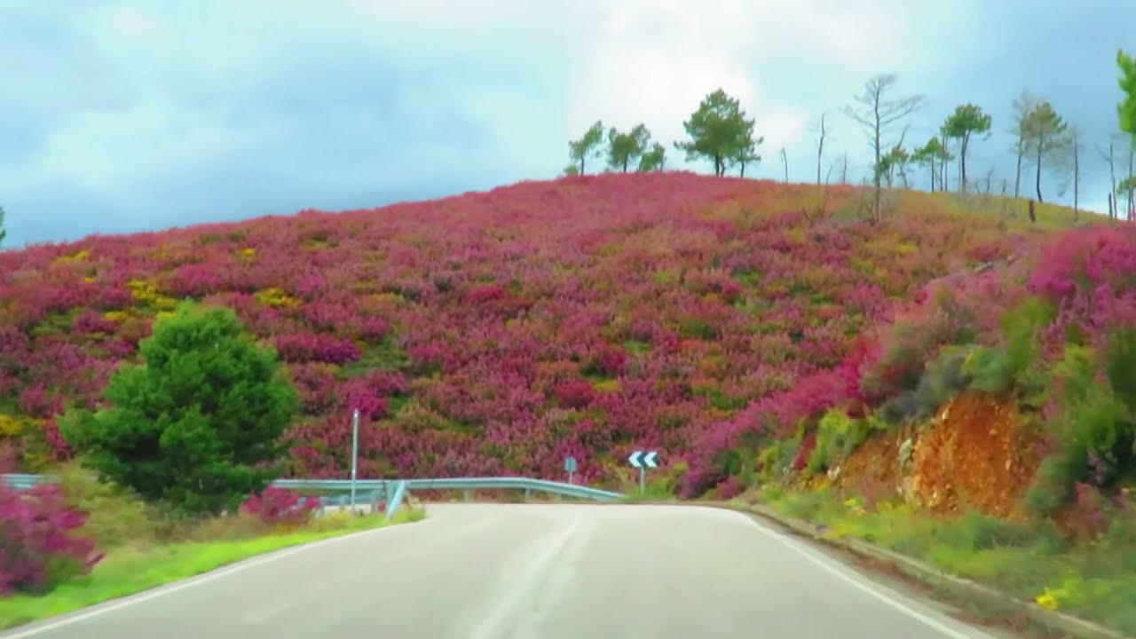 Llegando al Valle de Ancares, León en primavera