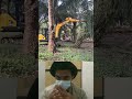 Excavator Struggles to Take Down Palm Tree