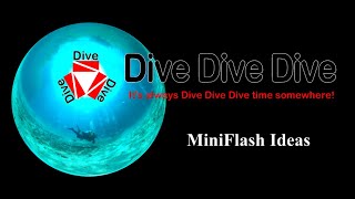 BackScatter MiniFlash Ideas from DiveDiveDive.us BackScatter MiniFlash Ideas from DiveDiveDive.us