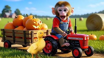 Monkey Bon Bon And Duckling Drives Tractor To Pull Wagon Full Of Pumpkins - Monkey Farm Work
