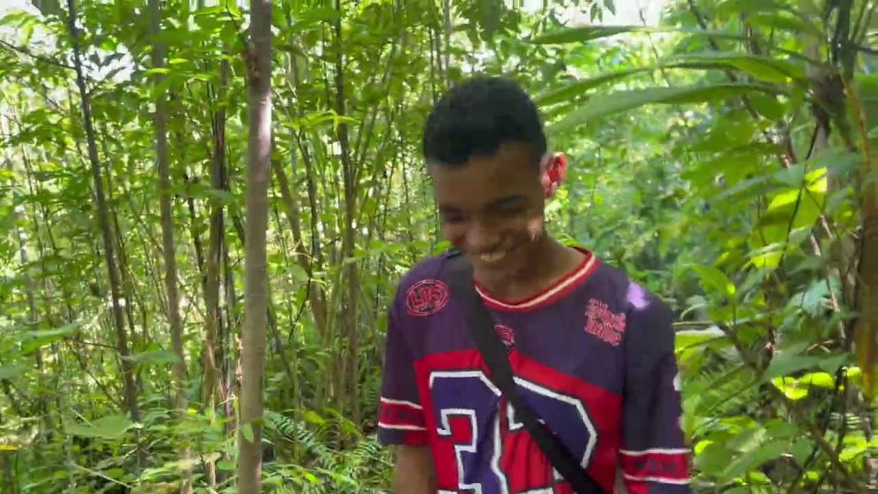 Panen kelapa selama setahun tanpa sepengetahuan saya~