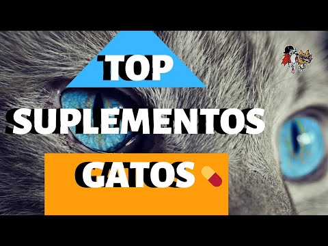 Video: Que Vitaminas Darle A Un Gato