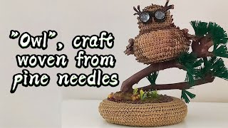 DIY Miracles from needles | An owl woven from pine needles