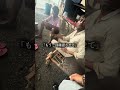 インドの置き引き犯を問い詰めた結果