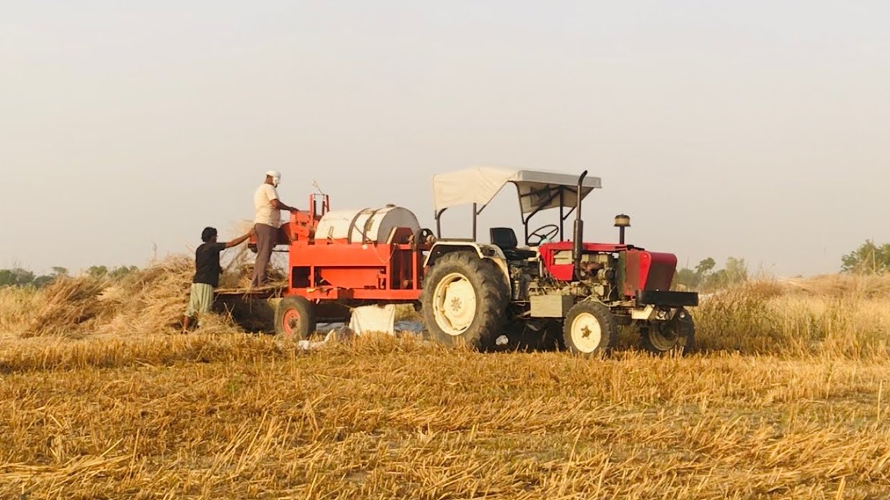 ਪੀਲੀ ਸਰੋ ਦਾ ਰੇਟ ਤੇ ਝਾੜ ਦੇਖੋ ਲਾਤਾ ਹੜੰਬਾ 855 ਤੇ Punjabi Farmer Benipal Jattz