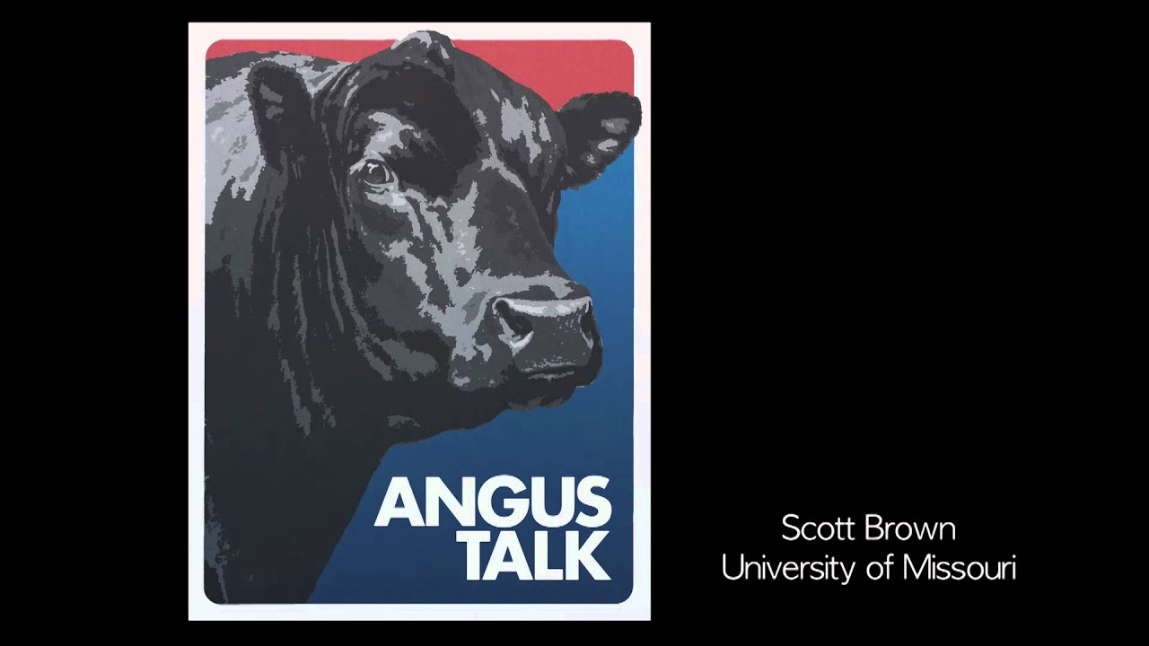 camera iphone 8 plus apk Angus Talk: Scott Brown: Opportunities in producing higher-quality beef