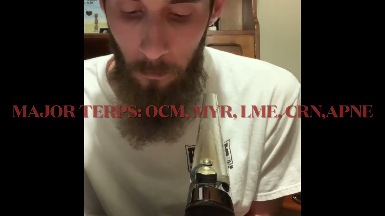 Buckeye Relief Pineapple Upside-Down Cake live resin badder review.