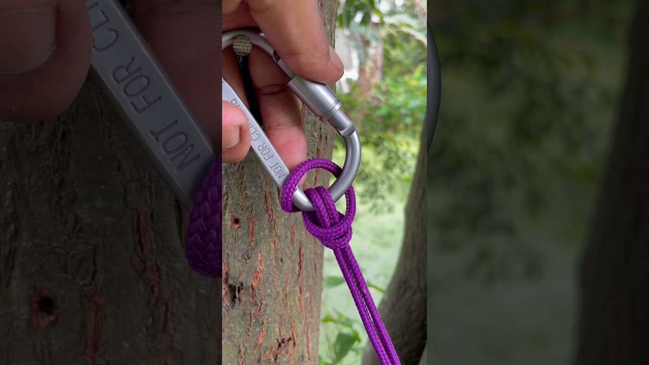 Name …….Hitch????