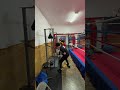 Stance, defensive positioning, parrying, pinning, smothering w/ the shoulder, weaving, and rolling.