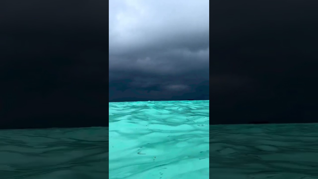 The calm before the storm in the Maldives 🇲🇻 How has the beginning of the year been for you?