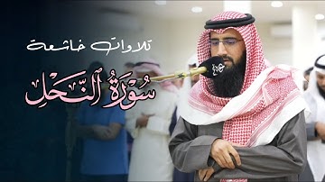 عشائية خاشعة تلاوة مميزة تفوق لا توصف بصوت الشيخ حمزة معاذ | عشاء 13-8-1446 هـ