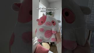 Heatable strawberry cow plushie is back! #cows #kawaii #smallbusiness #cute #giftideas #gifts