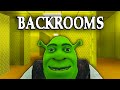 Roblox | Shrek in the Backrooms… I Made It Past Level 30?!