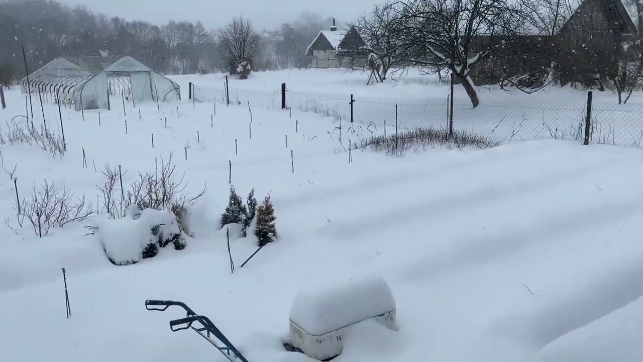 Наш розсадник рослин зимою 