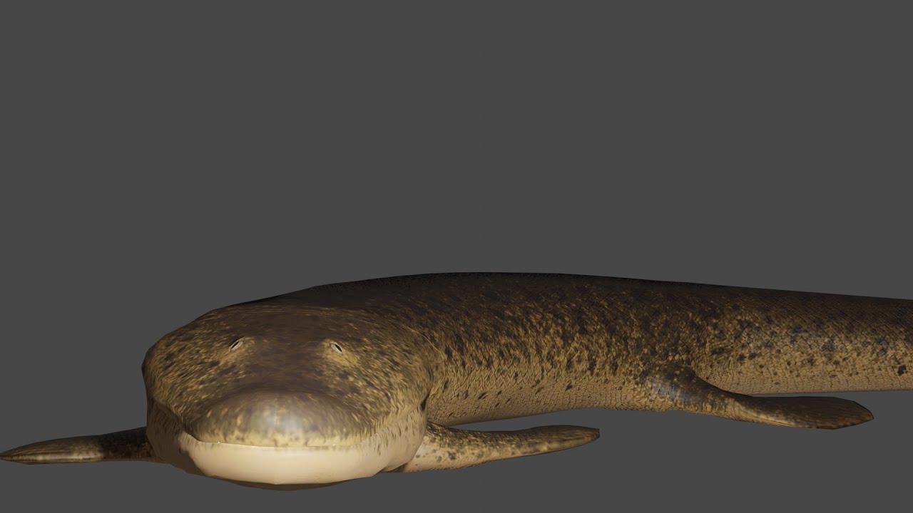Tiktaalik eating Fish Animation test - YouTube