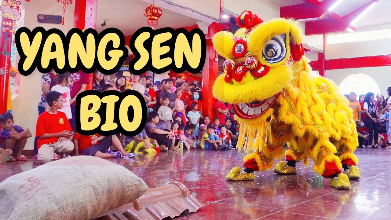 ATRAKSI BARONGSAI YANG SEN BIO DI SEJIET BOEN SAN BIO 2024