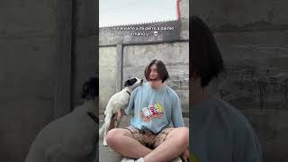 Le enseñé a mi perro a dar la mano y no salió bien #humor...