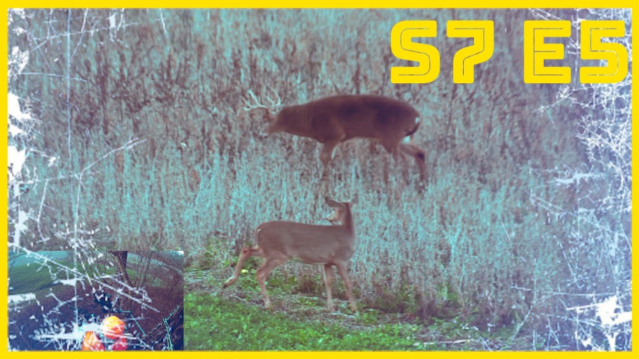 Illinois 1st Shotgun Season 2024 | Season 7 Episode 5 | Big Buck Down