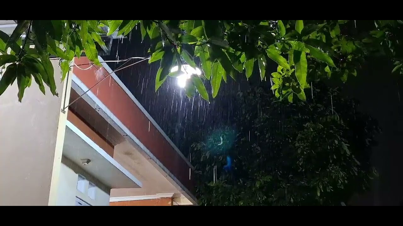 Selamat beristirahat  sahabatku ❤️❤️( relaxation )