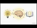 The Default Mode Network: The Architecture of Mental Fatigue