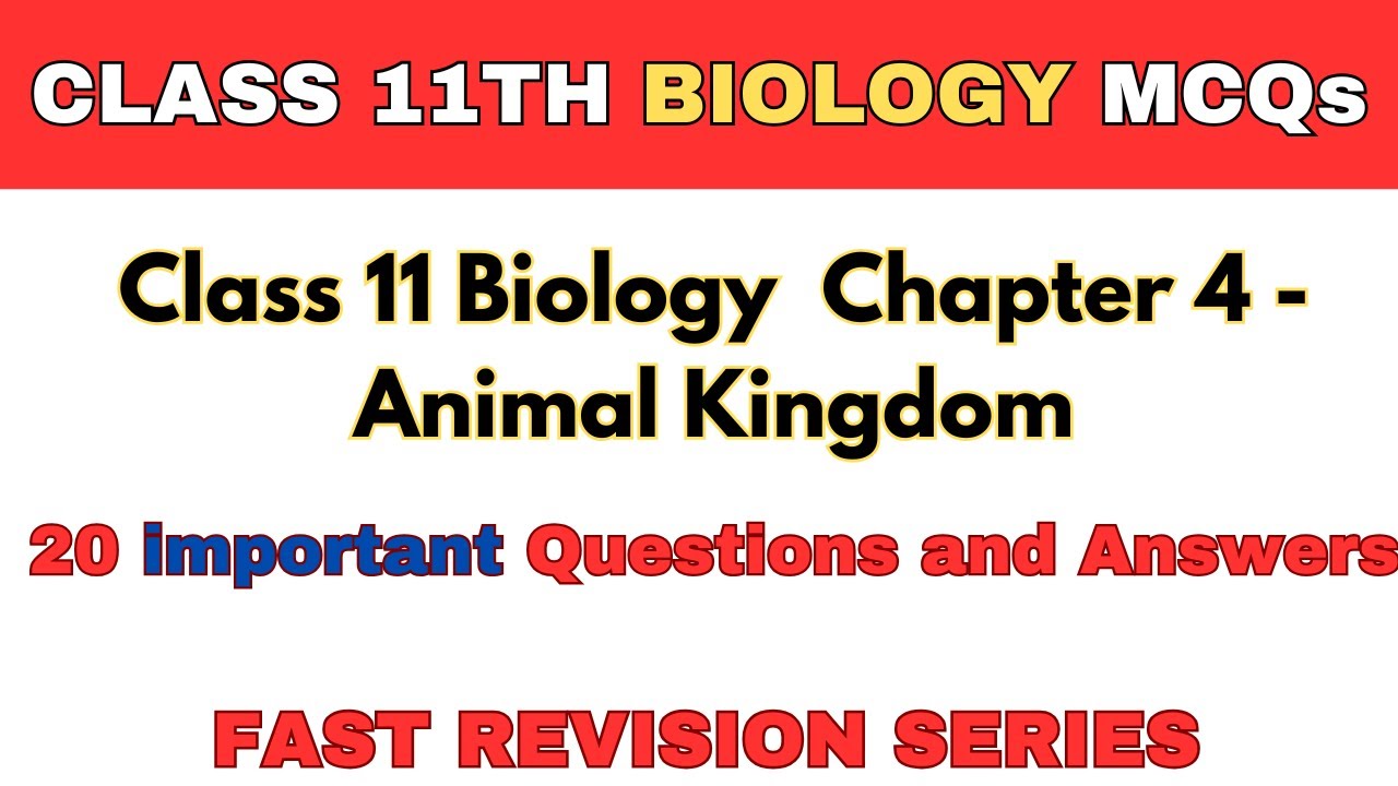 20 Most Important Mcqs | Class 11 Biology Chapter 4 - Animal Kingdom ...