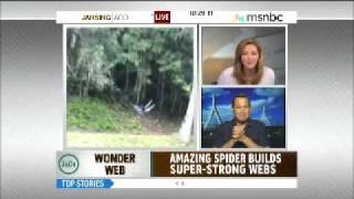 Chris Jansing Freaks Over Some Breaking Spider News