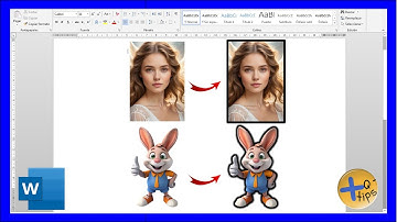 PONER BORDE o CONTORNO a una IMAGEN en WORD
