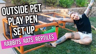 reptile playpen