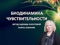 Биодинамика чувствительности