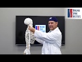 Understanding Annular Tear I Spine Condition Presented by Spine Surgeon Dr. Christopher Good