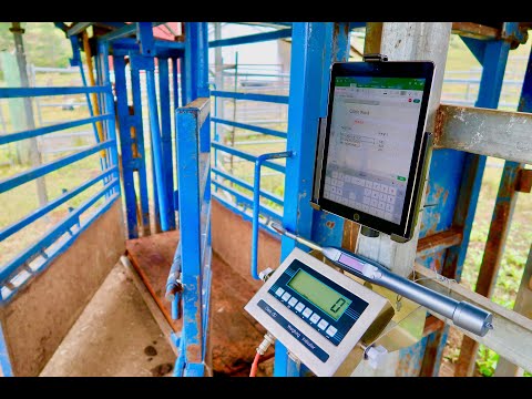 agrieid-cattle-scales---build-your-own-platform-and-install-in-less-than-30-minutes.