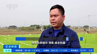 [正点财经]广西贵港：工厂化育秧为早稻种植按下“加速键”| 财经风云
