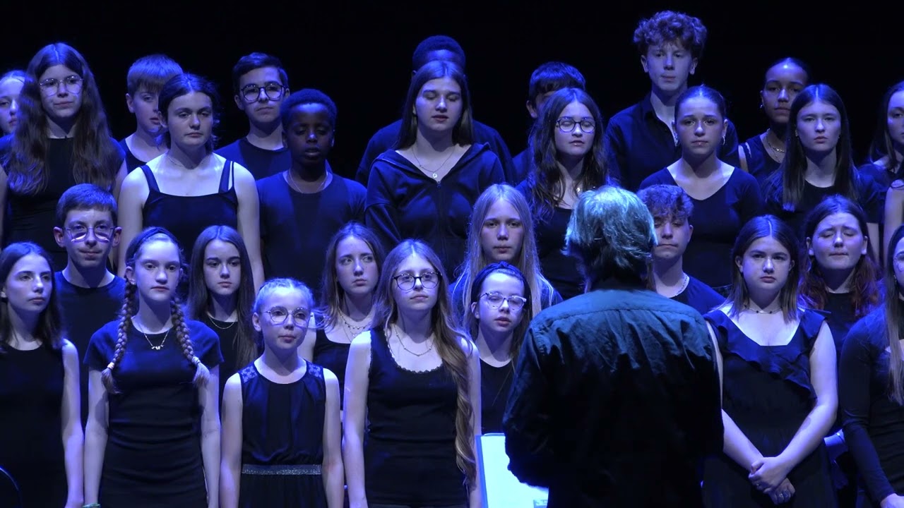 "La nuit je mens" - Alain Bashung par la chorale du Collège REVERDY (Sablé sur Sarthe - Marc Leroy)