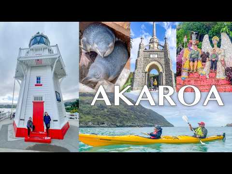 AKAROA ADVENTURE || SEA KAYAKING SAFARI & MORE || NEW ZEALAND